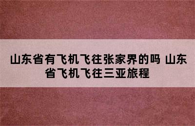 山东省有飞机飞往张家界的吗 山东省飞机飞往三亚旅程